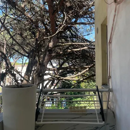 דירה Sior גולם